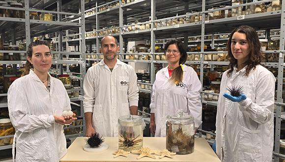 צוות המחקר בהובלת ד"ר עמרי ברונשטיין צוות המחקר בהובלת ד"ר עמרי ברונשטיין
